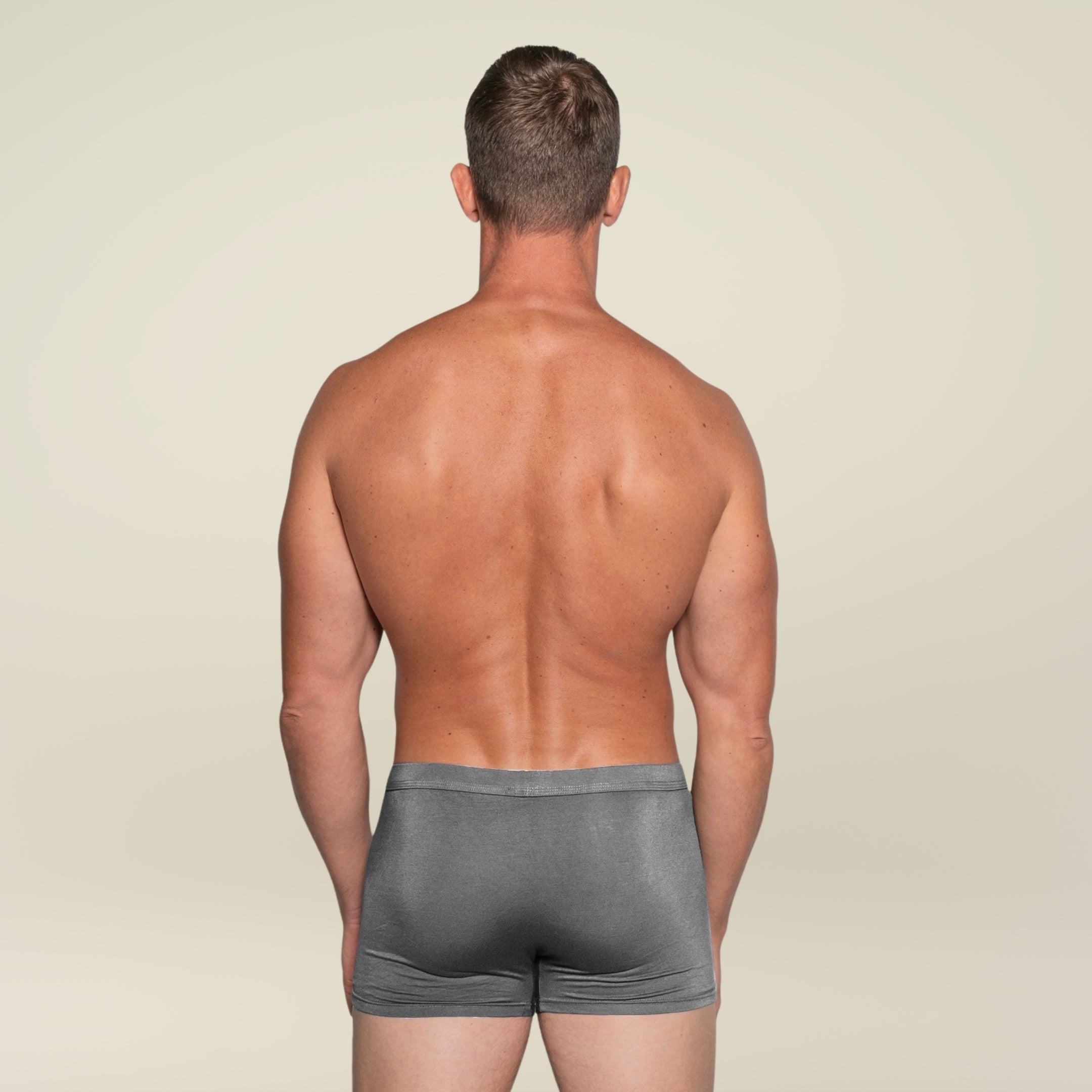 BIOFIT® Essentials Boxer Trunks Grey