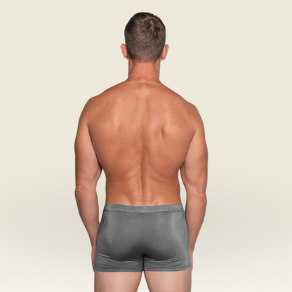 BIOFIT Essentials Boxer Trunks 3-Pack Grey